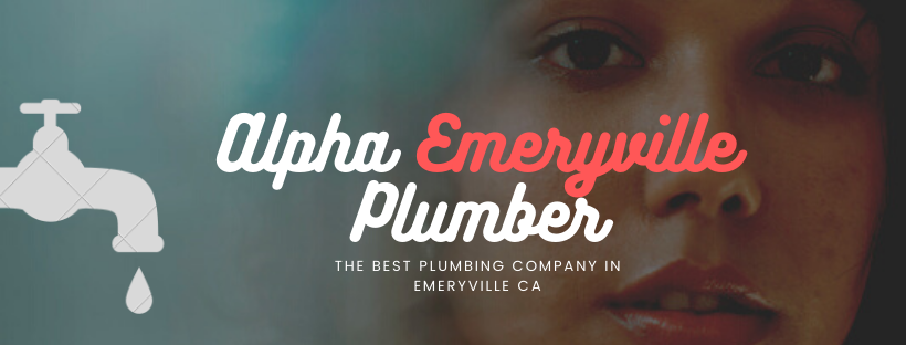 Alpha Emeryville Plumber Image
